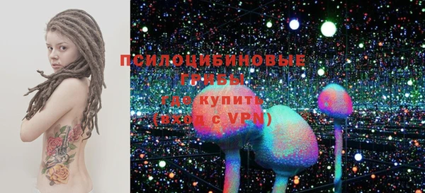 2c-b Коряжма
