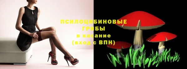 2c-b Коряжма