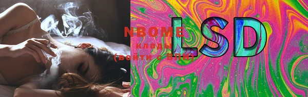 PSILOCYBIN Костерёво